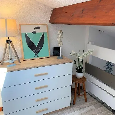 La Palmyre -le Hameau De Talaris- Mitoyenne - Piscine Collective